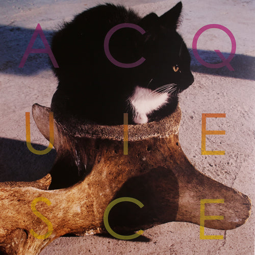 Actress, Gwilym Gold & Eddie Peake - Muscle (Screen Printed)