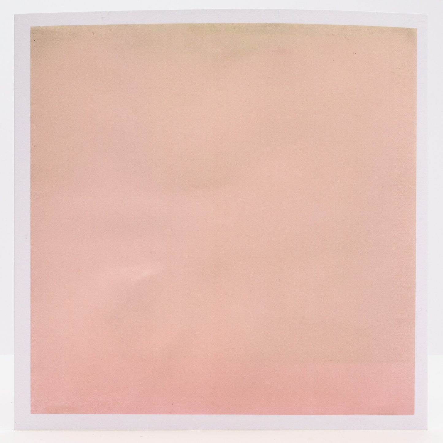 The Life Aquatic image 3