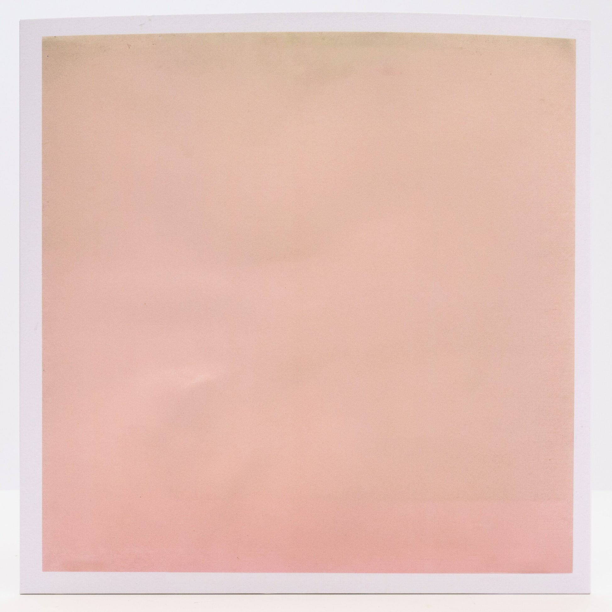 The Life Aquatic image 3