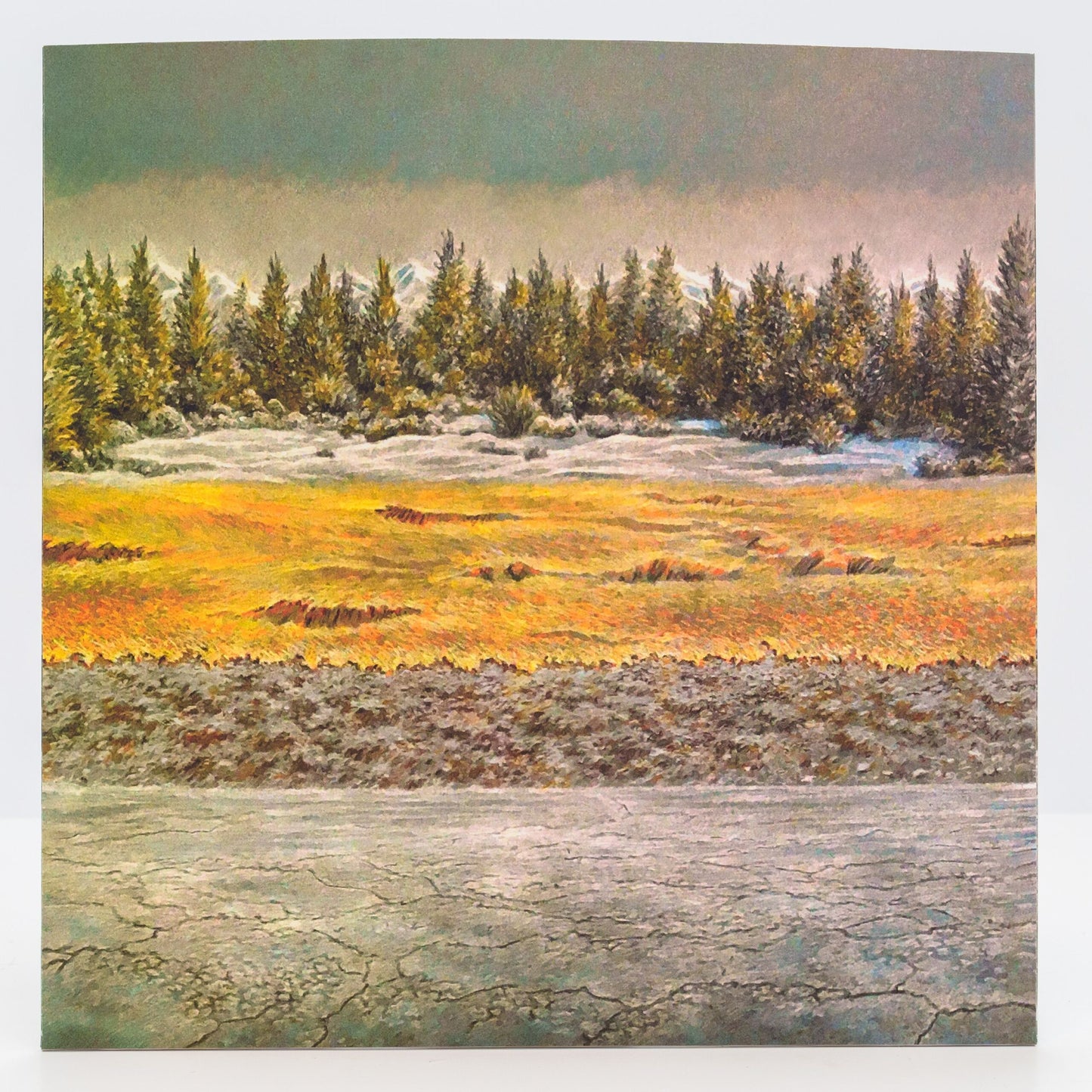 Fantastic Mr Fox image 3