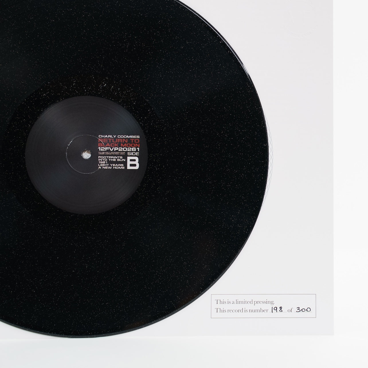 Charly Coombes - Return to Black Moon