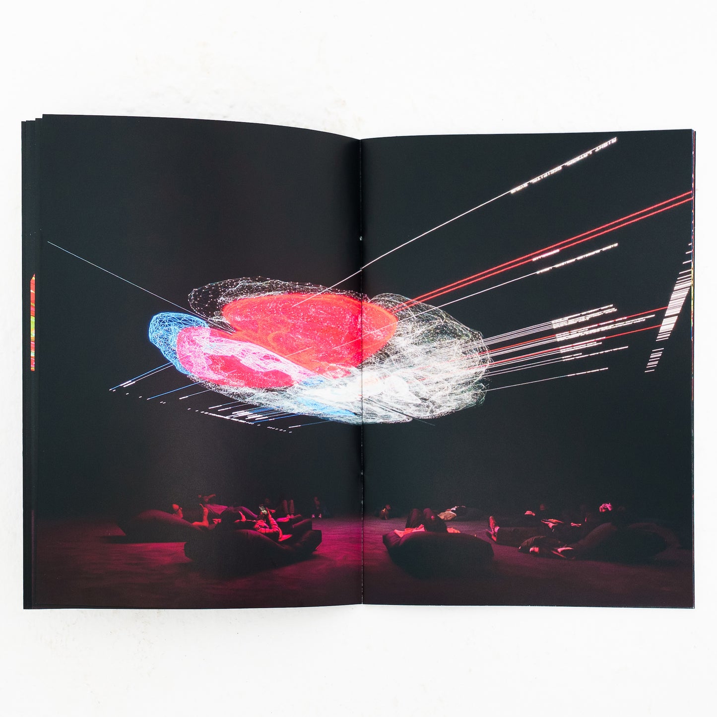 Ryoji Ikeda - data-cosm [n°1] Exhibition Booklet