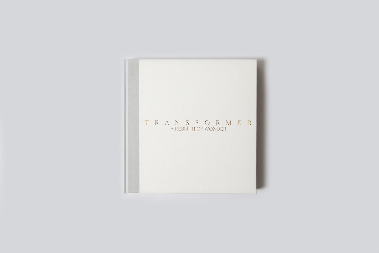 Transformer: A Rebirth of Wonder