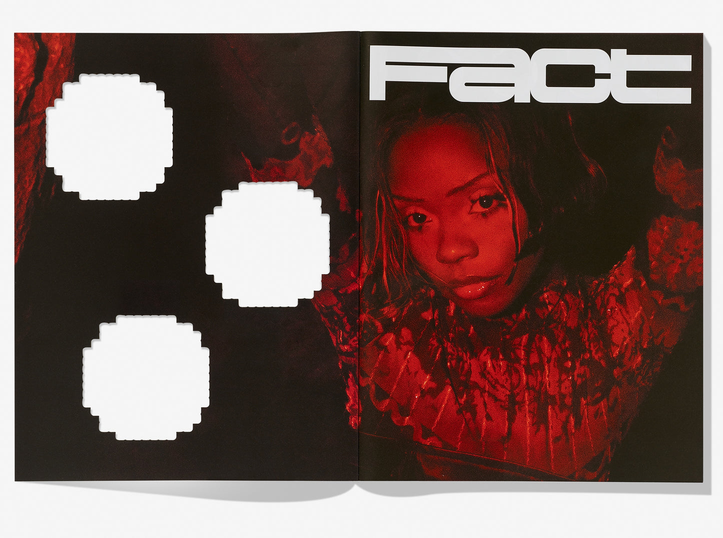 Fact Magazine - Issue 06 (Bambii cover)