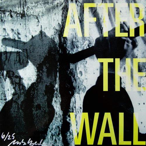 Lutz Becker - After The Wall