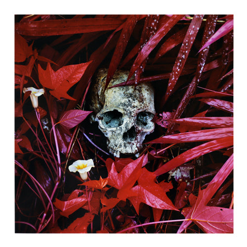 Richard Mosse & Ben Frost - The Enclave (Limited Edition)